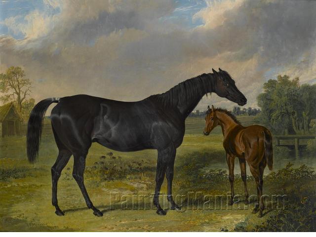 Pipylina and Foal