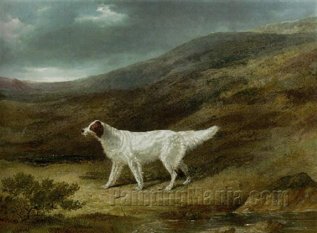 A Pointer on a Moor