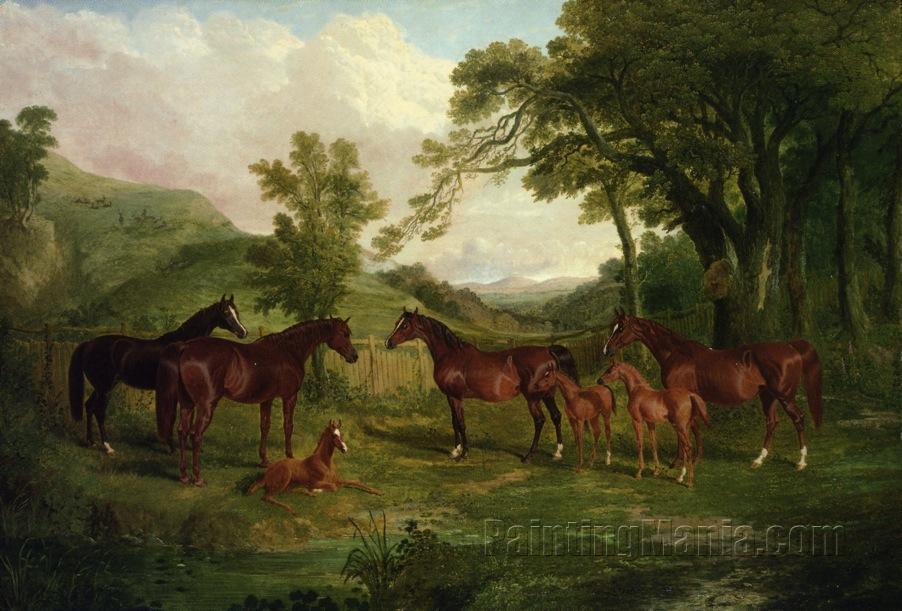 The Streatlam Stud, Mares and Foals