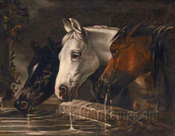 Three horses at a water trough
