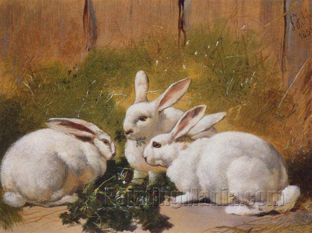 Three White Rabbits