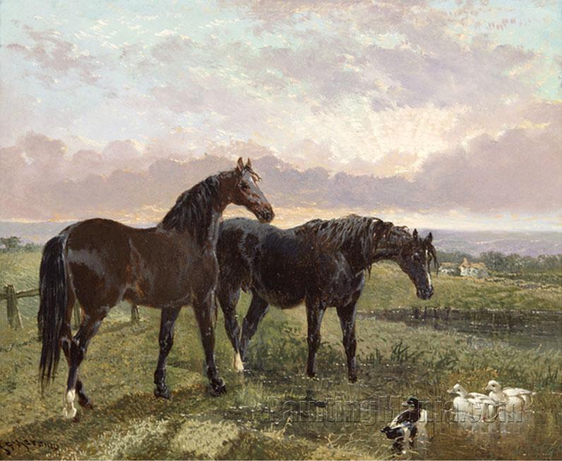 Two Horses Grazing at Sunset