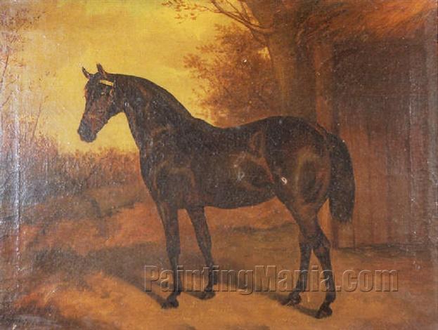 Untitled (A standing thoroughbred horse)