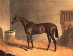 Bay Middleton, a bay racehorse in a loosebox