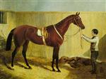 The Bay Racehorse, Alice Hawthorn Held by a Groom in a Stable