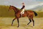 A Bay Racehorse with Jockey up