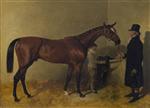 A Bay Racehorse in a Loosebox