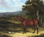 Bay and Spaniel in Landscape