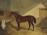 Beeswing, in a Stable 1838