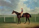 Bessy Bedlam. a bay racehorse with T. Nicholson up. on a racecourse