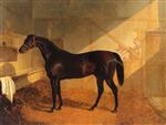 Charles XII in Stable