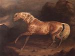 A Chestnut Arab Stallion in a Stormy Landscape
