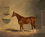A Chestnut Horse in a Stable 2