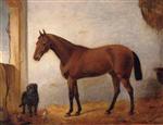 A Chestnut Hunter with a Black Labrador in a Stable