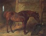 A Chestnut Hunter with a Cat in a Stable