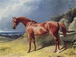 A chestnut racehorse in a landscape