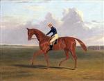 Colonel Peel's chestnut filly 'Vulture'. with jockey up. on Newmarket Heath