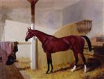 Colonel Peel's 'Orlando' in a Stable