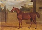 'Comus', a chestnut racehorse in a stable yard