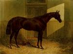 'Cossack' winner of the 1847 Derby. in a stable