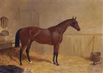 Cotherstone, a bay racehorse in a stable