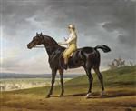 'Dr. Syntax', a brown racehorse with Robert Johnson up, in an extensive landscape