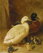 Ducks and Ducklings 1851