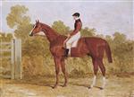 'Elis'. a chestnut racehorse with John Day Snr. up. by a gate