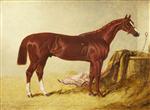 'Elis', Winner of the St Leger Stakes, 1836, in a Loose Box