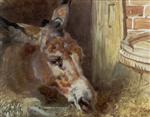 Farm Animals - A Donkey Feeding