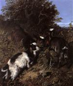 Goats Grazing in a Hedgerow