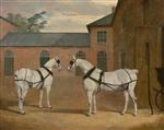 Grey carriage horses in the coachyard at Putter