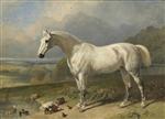 A Grey Horse and Ducks in a Landscape