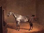 Grey Horse in a Stable 1830