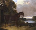 'Major'. a bay hunter. with a greyhound. beside a barn. with a lake beyond