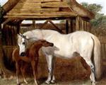 A Mare and Foal by a Barn