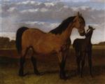 A Mare and Foal in a Paddock