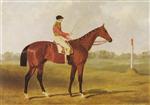 'Phosphorus', a bay racehorse with George Edwards up, on a racecourse