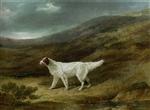A Pointer on a Moor