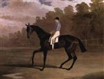 A racehorse with the jockey Delme Radcliffe up