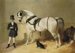 A St James's saddled grey coach horse with a coachman and dog