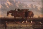 Three tow horses beside a canal with an estuary beyond