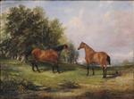 Two Bay Horses in a Meadow