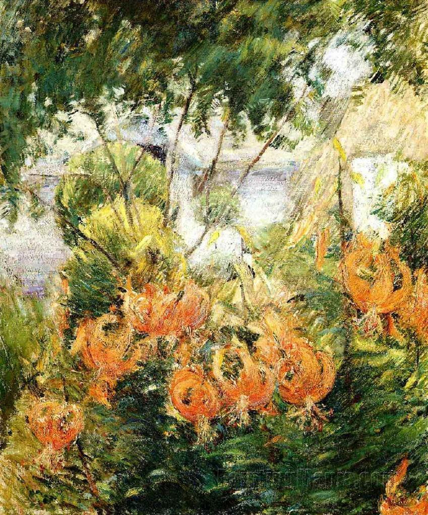 Tiger Lilies 1896-1899
