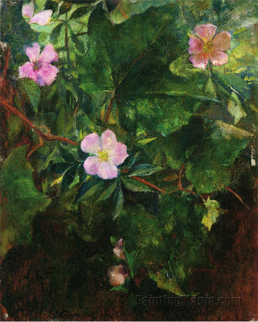 Wild Roses and Grape Vine, Study from Nature