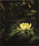 Water Lily (Lotus Leaves)