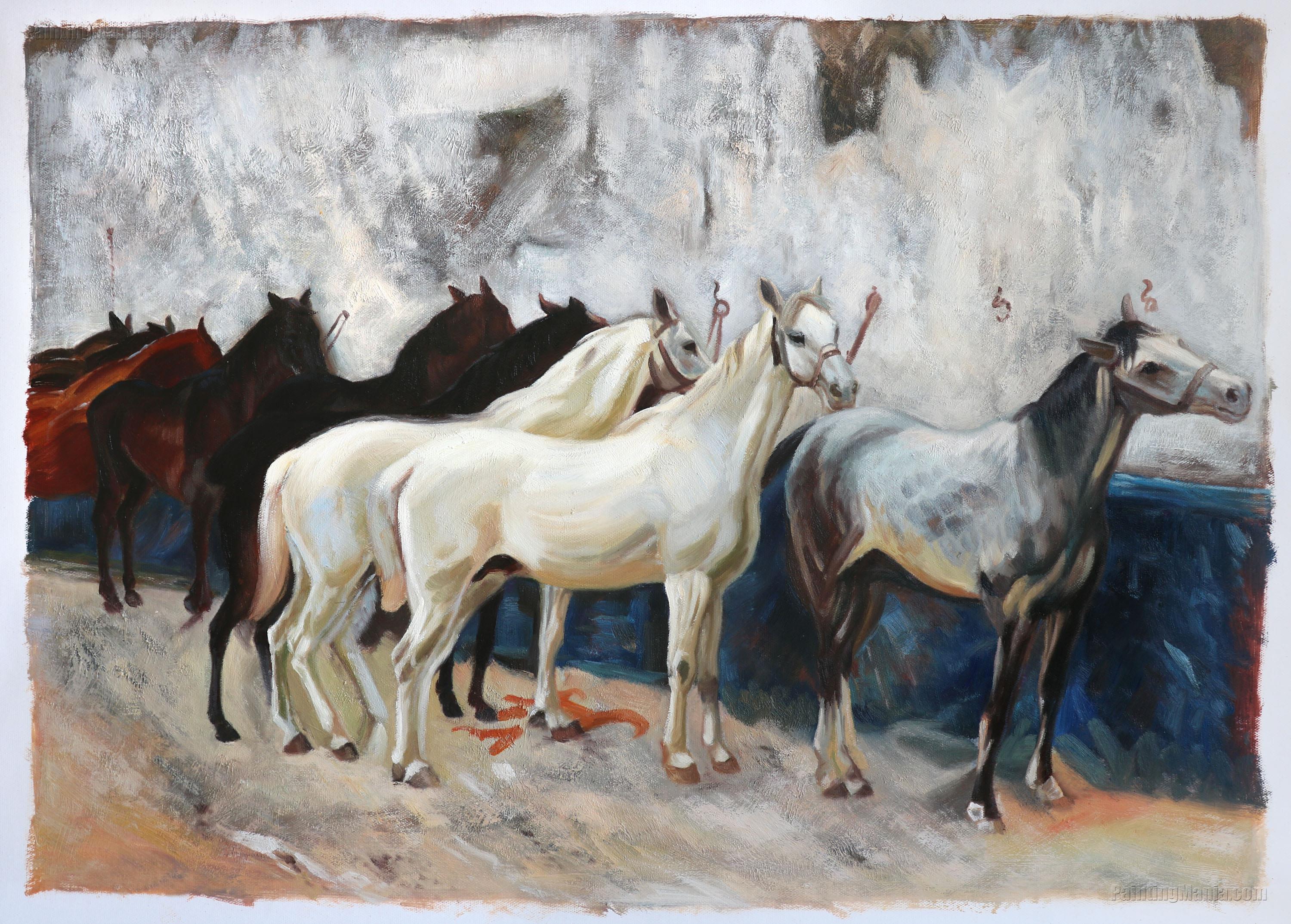 Horses at Palma 1908