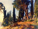 Cyresses and Pines (Lago di Garda)