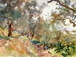 Majorca: Trees on a Hillside 1908
