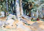 Purtud: A Forest Scene 1907